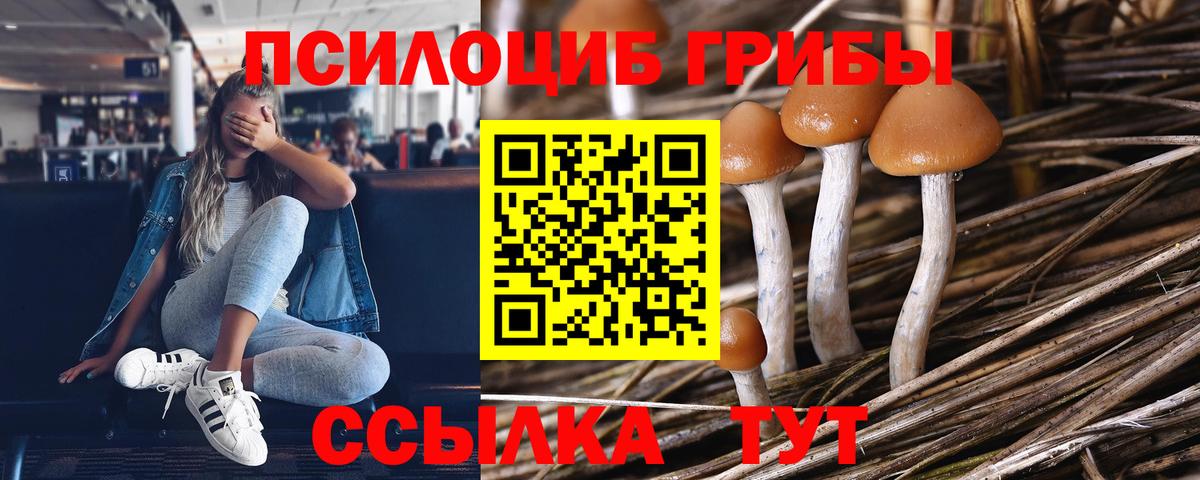 Галлюциногенные грибы Psilocybine cubensis Балашиха